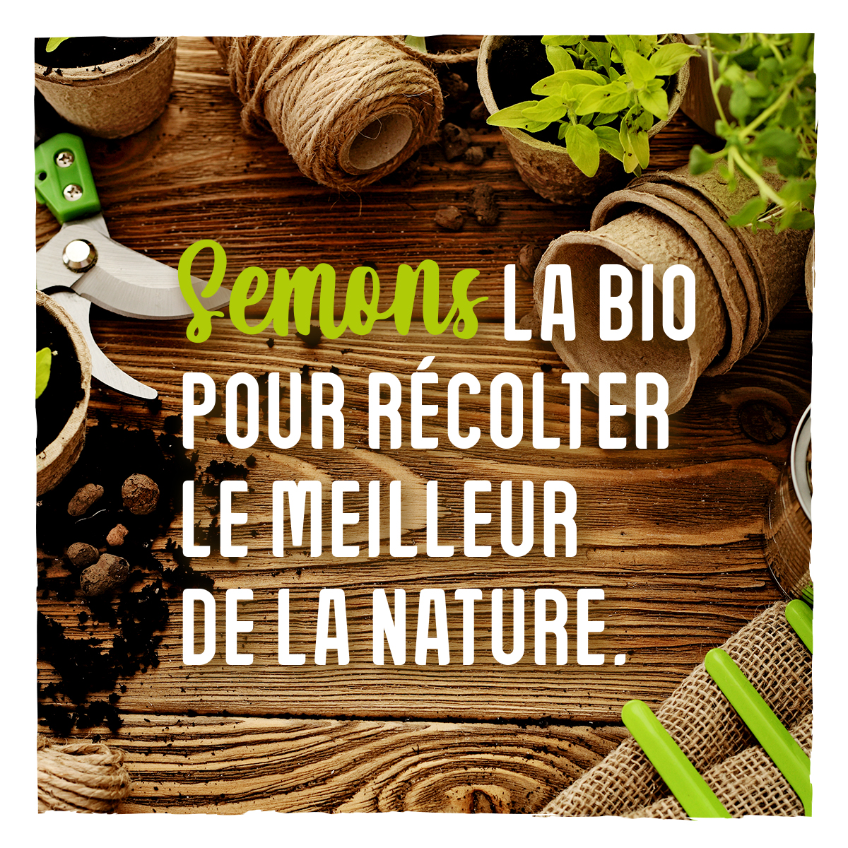 Bientôt le Printemps, Semons ! Bientôt le Printemps, Semons !