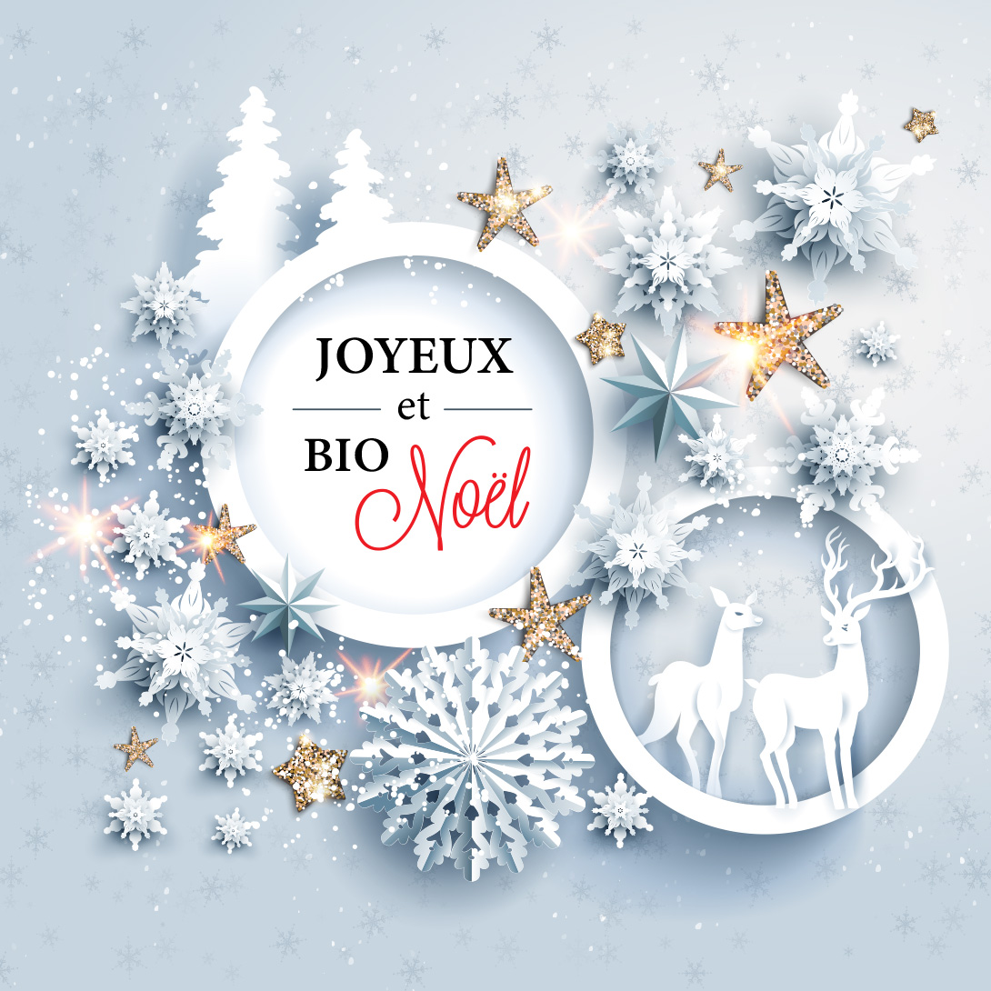 Noël vous attend dans votre magasin Biocoop ! Noël vous attend dans votre magasin Biocoop !