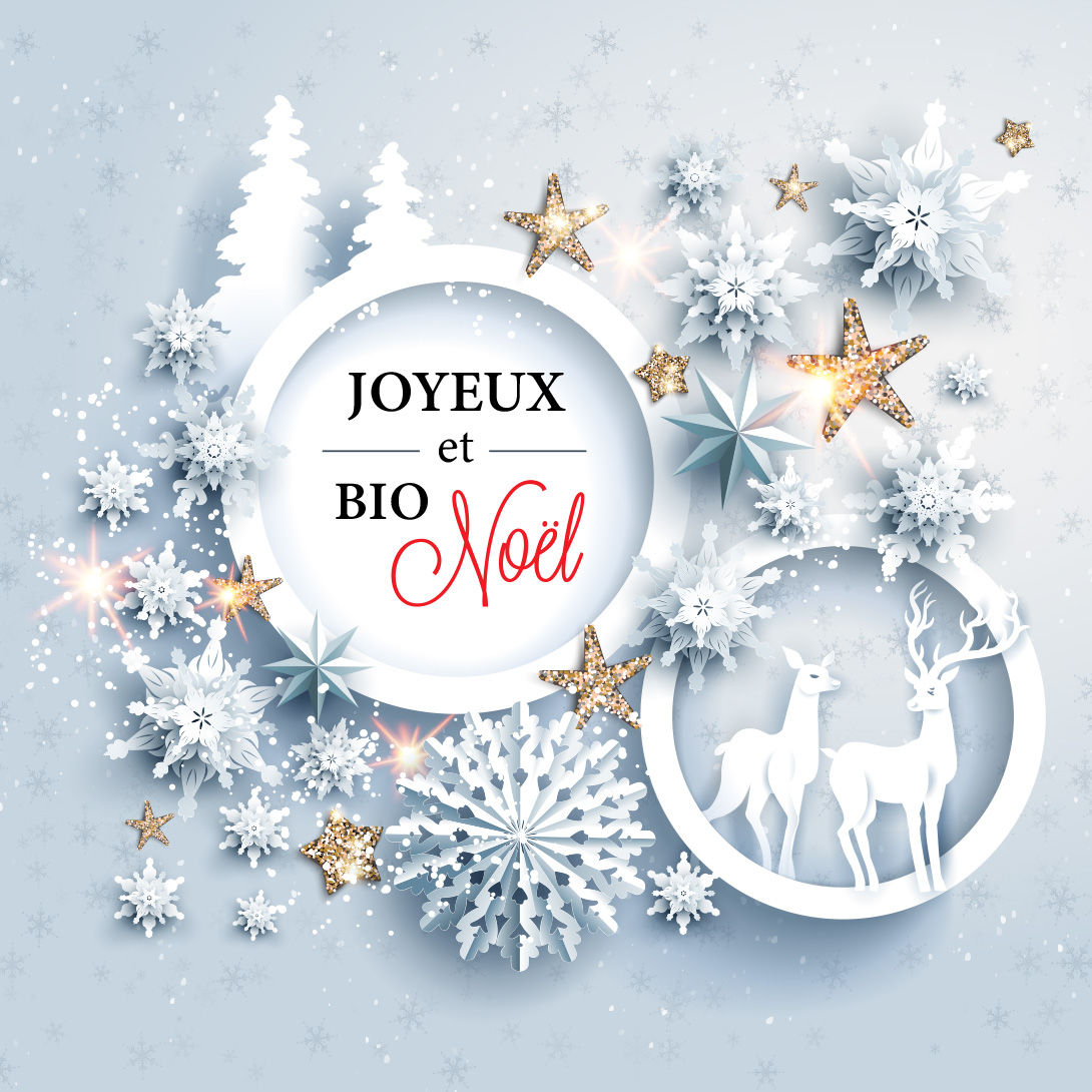 Noël vous attend dans votre magasin Biocoop !