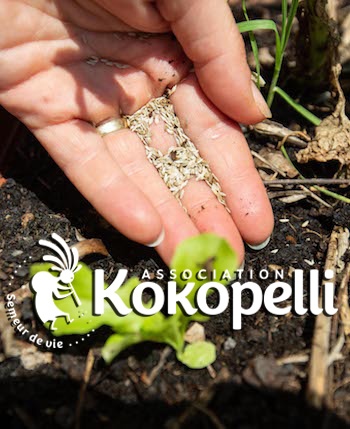 À vos semences... avec Kokopelli !