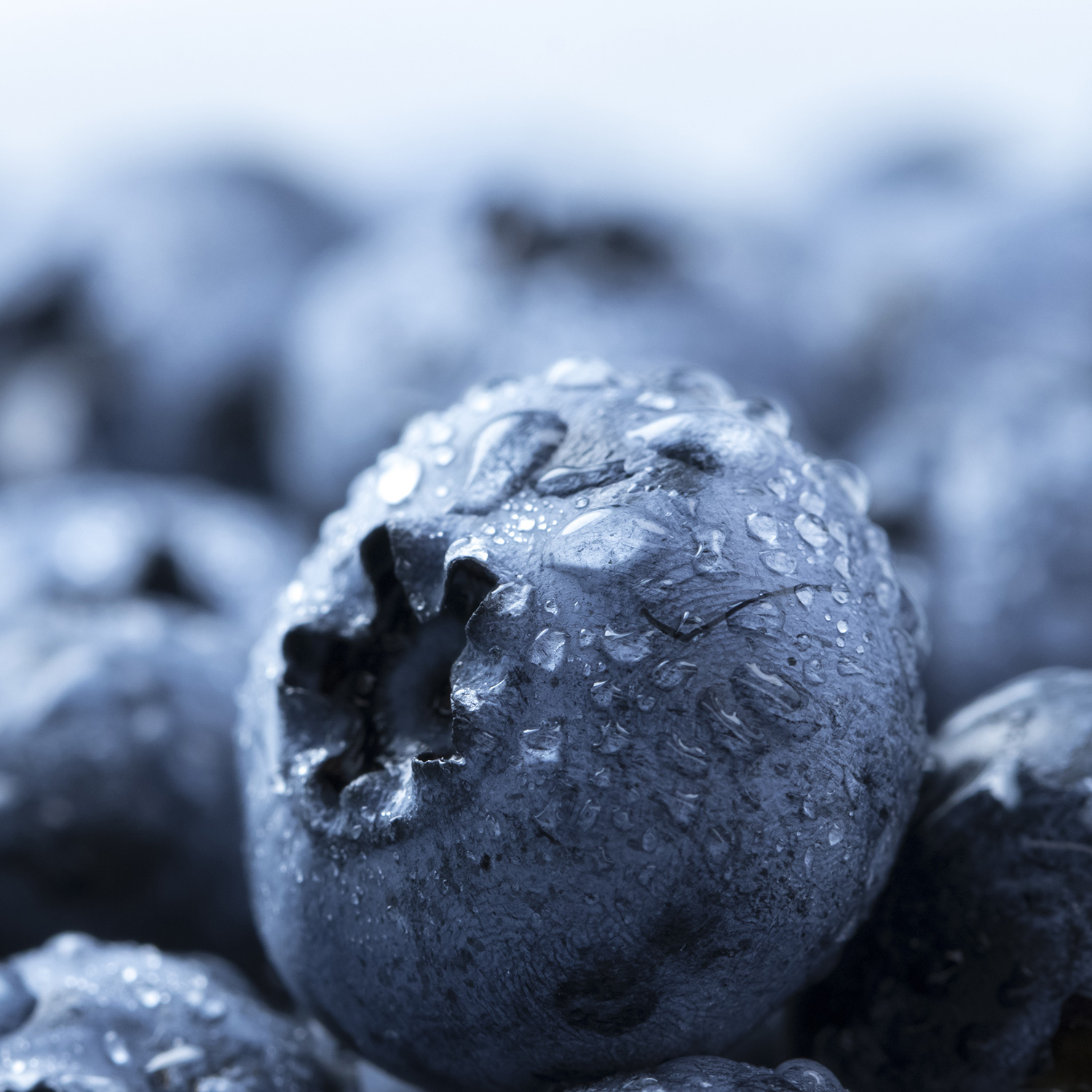 Les fruits d'été Les fruits d'été