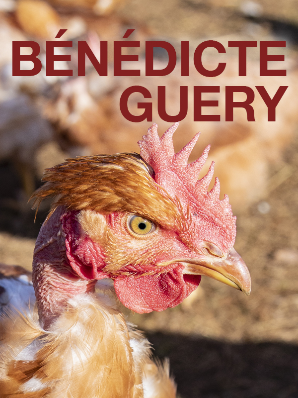 Bénédicte Guery Bénédicte Guery