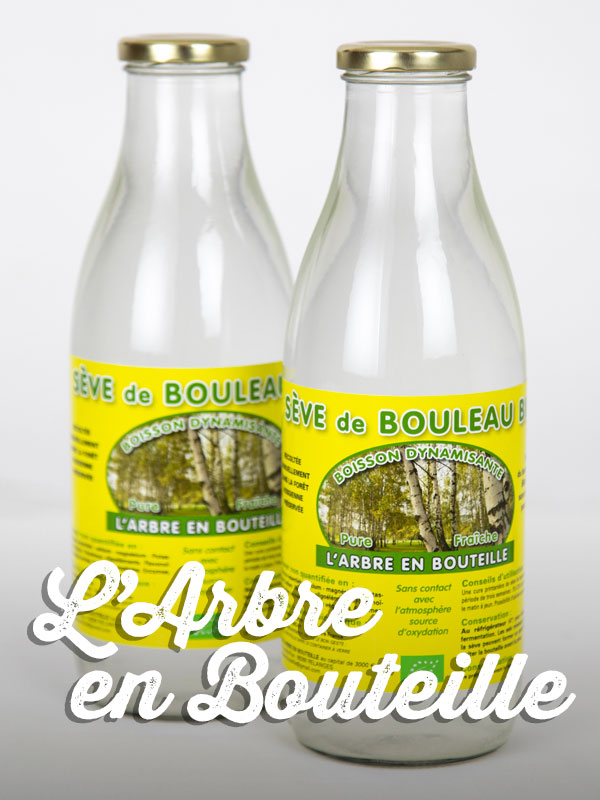 L'Arbre en Bouteille